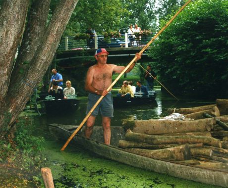 image galerie du marais poitevin transport du bois 